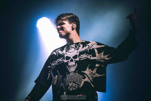 Load image into Gallery viewer, Lochie from Alpha Wolf
